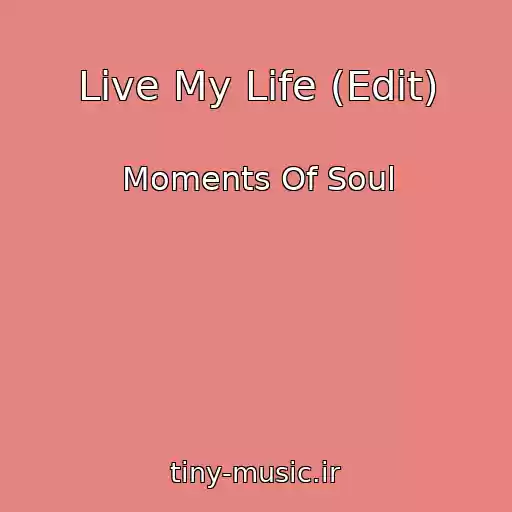 کاور آهنگ Live My Life (Edit) از Moments Of Soul