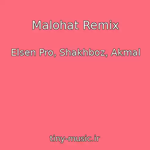 کاور آهنگ Malohat Remix از Elsen Pro, Shakhboz, Akmal