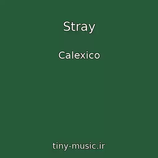 کاور آهنگ Stray از Calexico