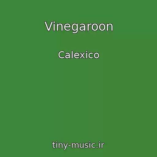 کاور آهنگ Vinegaroon از Calexico