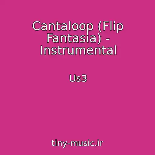 کاور آهنگ Cantaloop (Flip Fantasia) - Instrumental از Us3