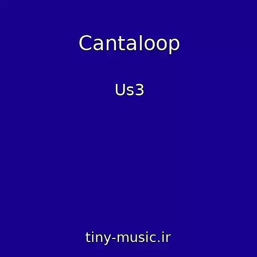کاور آهنگ Cantaloop از Us3