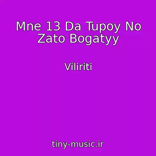 کاور آهنگ Mne 13 Da Tupoy No Zato Bogatyy از Viliriti