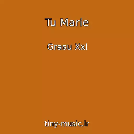 کاور آهنگ Tu Marie از Grasu Xxl