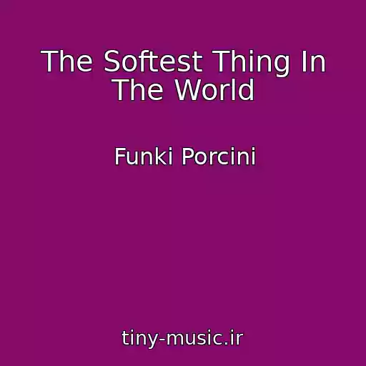 کاور آهنگ The Softest Thing In The World از Funki Porcini
