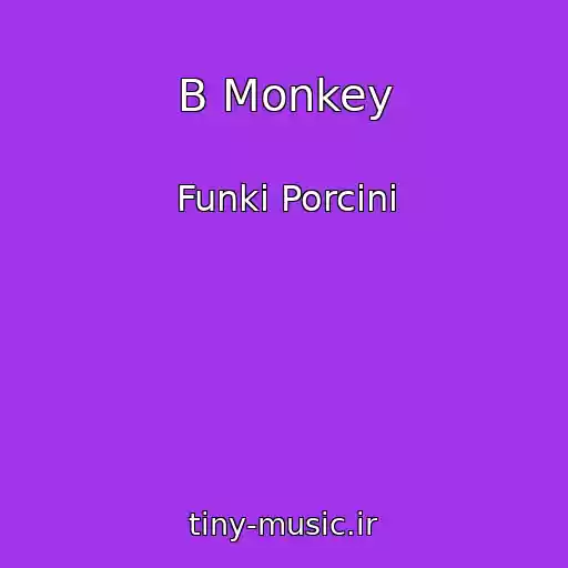 کاور آهنگ B Monkey از Funki Porcini