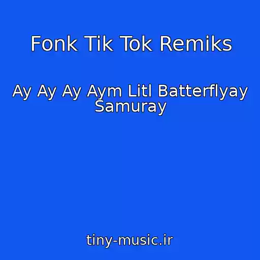 کاور آهنگ Fonk Tik Tok Remiks از Ay Ay Ay Aym Litl Batterflyay Samuray