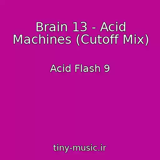 کاور آهنگ Brain 13 - Acid Machines (Cutoff Mix) از Acid Flash 9