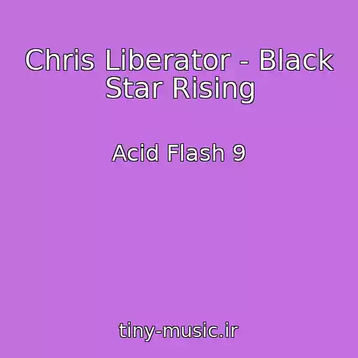 کاور آهنگ Chris Liberator - Black Star Rising از Acid Flash 9