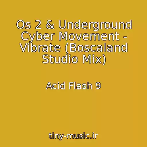 کاور آهنگ Os 2 & Underground Cyber Movement - Vibrate (Boscaland Studio Mix) از Acid Flash 9