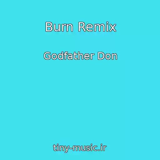 کاور آهنگ Burn Remix از Godfather Don