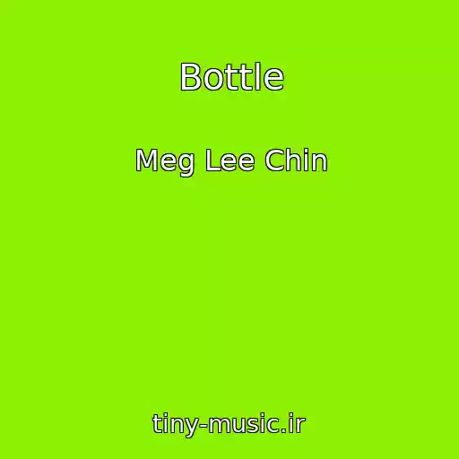 کاور آهنگ Bottle از Meg Lee Chin