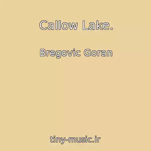 کاور آهنگ Callow Lake. از Bregovic Goran