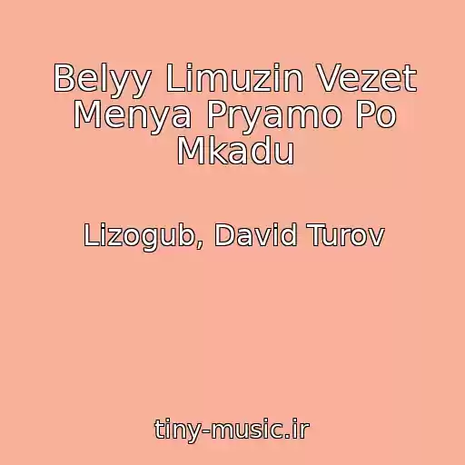 کاور آهنگ Belyy Limuzin Vezet Menya Pryamo Po Mkadu از Lizogub, David Turov