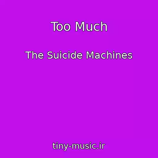 کاور آهنگ Too Much از The Suicide Machines