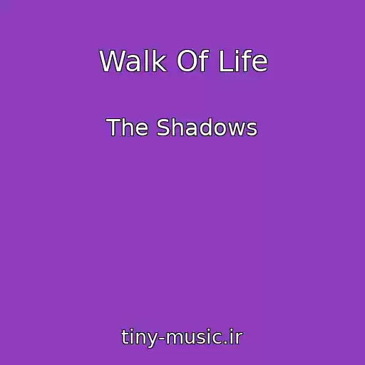 کاور آهنگ Walk Of Life از The Shadows