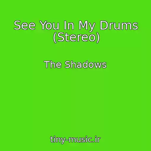 کاور آهنگ See You In My Drums (Stereo) از The Shadows