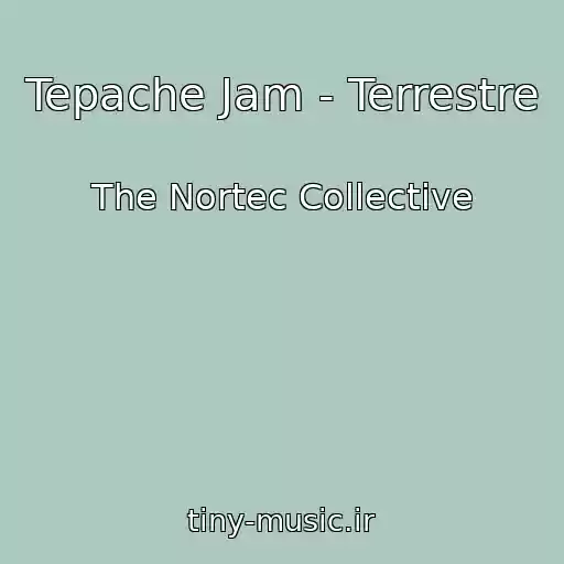 کاور آهنگ Tepache Jam - Terrestre از The Nortec Collective