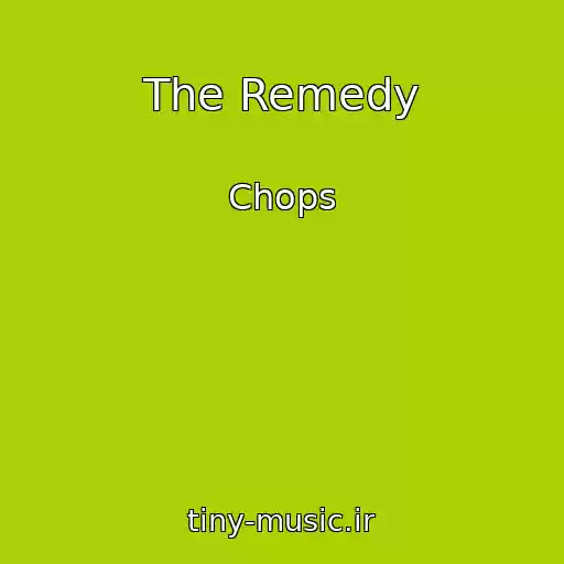 کاور آهنگ The Remedy از Chops