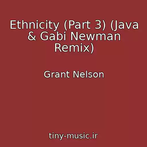 کاور آهنگ Ethnicity (Part 3) (Java & Gabi Newman Remix) از Grant Nelson