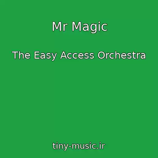 کاور آهنگ Mr Magic از The Easy Access Orchestra