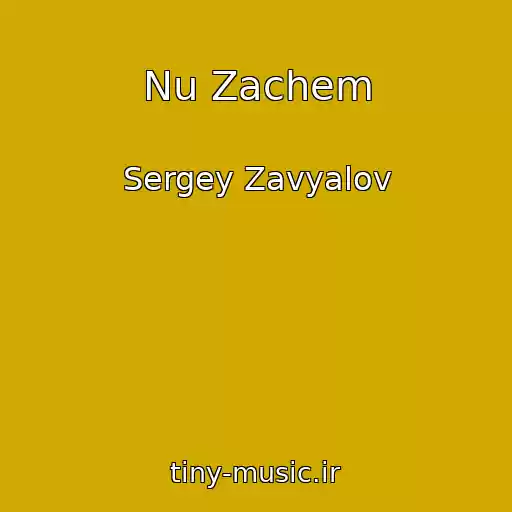 کاور آهنگ Nu Zachem از Sergey Zavyalov
