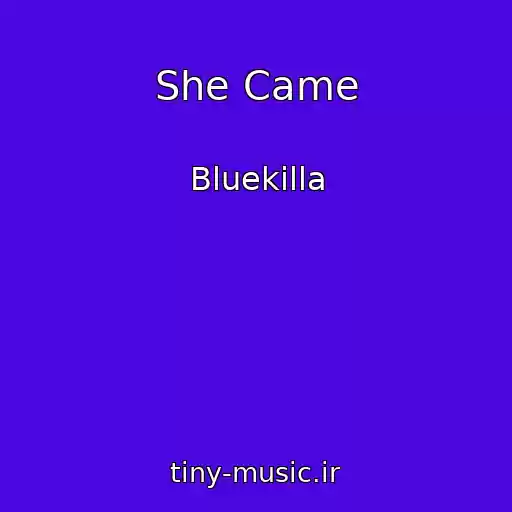 کاور آهنگ She Came از Bluekilla