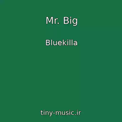 کاور آهنگ Mr. Big از Bluekilla