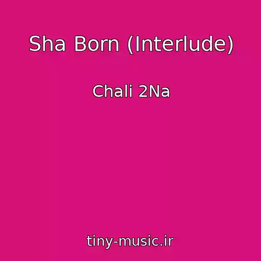 کاور آهنگ Sha Born (Interlude) از Chali 2Na