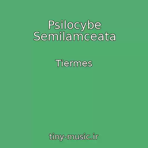 کاور آهنگ Psilocybe Semilamceata از Tiermes