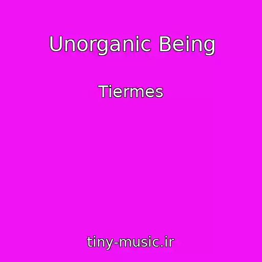 کاور آهنگ Unorganic Being از Tiermes