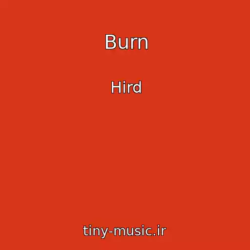 کاور آهنگ Burn از Hird