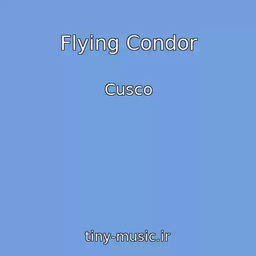 کاور آهنگ Flying Condor از Cusco