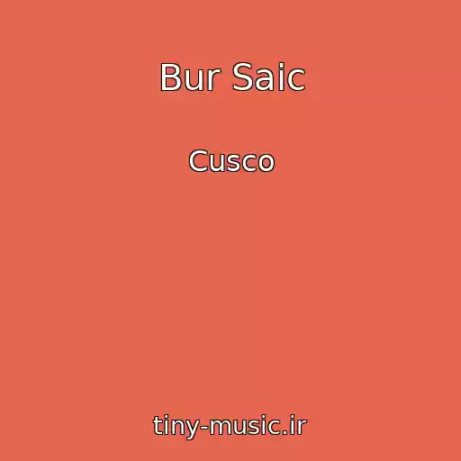 کاور آهنگ Bur Saic از Cusco