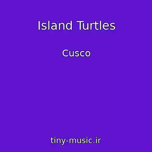 کاور آهنگ Island Turtles از Cusco