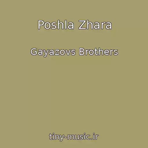 کاور آهنگ Poshla Zhara از Gayazovs Brothers