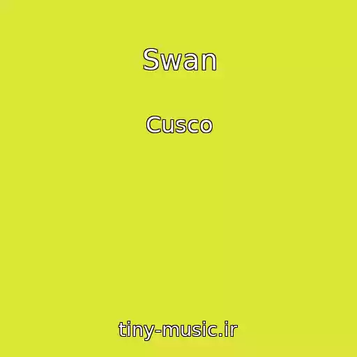 کاور آهنگ Swan از Cusco