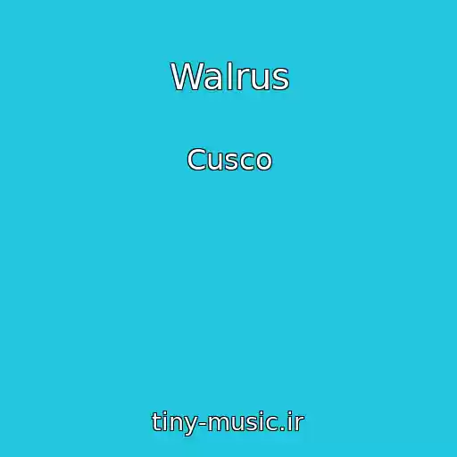کاور آهنگ Walrus از Cusco