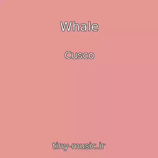 کاور آهنگ Whale از Cusco