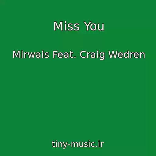 کاور آهنگ Miss You از Mirwais Feat. Craig Wedren