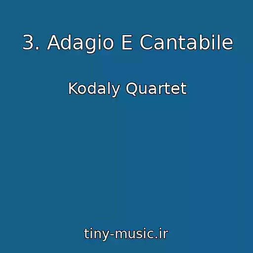 کاور آهنگ 3. Adagio E Cantabile از Kodaly Quartet