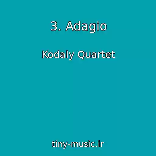 کاور آهنگ 3. Adagio از Kodaly Quartet