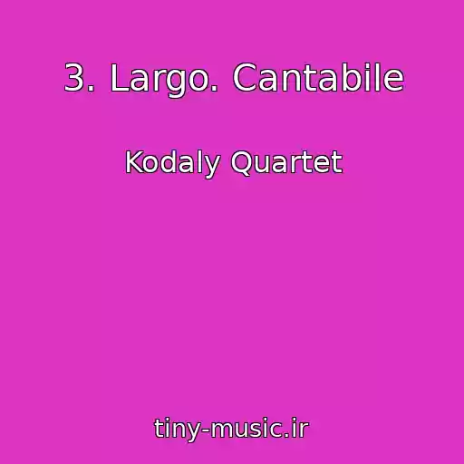 کاور آهنگ 3. Largo. Cantabile از Kodaly Quartet