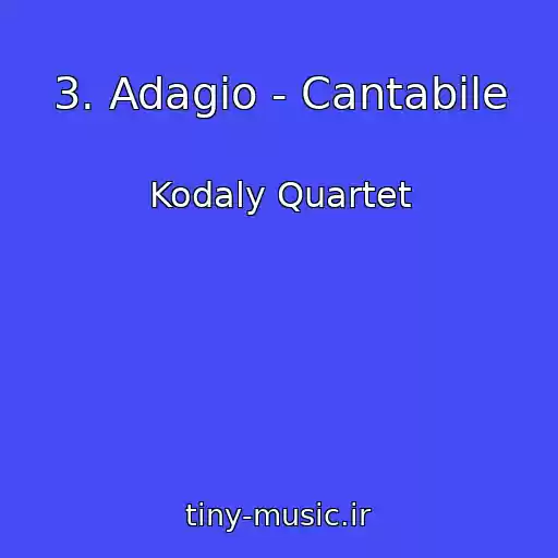 کاور آهنگ 3. Adagio - Cantabile از Kodaly Quartet