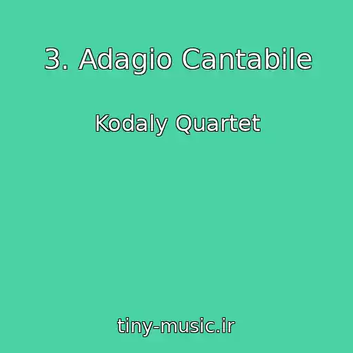 کاور آهنگ 3. Adagio Cantabile از Kodaly Quartet