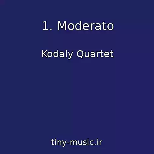کاور آهنگ 1. Moderato از Kodaly Quartet
