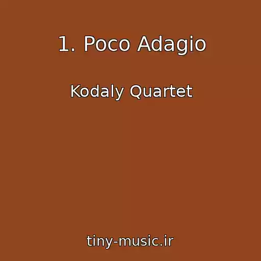 کاور آهنگ 1. Poco Adagio از Kodaly Quartet