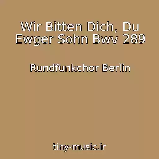 کاور آهنگ Wir Bitten Dich, Du Ewger Sohn Bwv 289 از Rundfunkchor Berlin