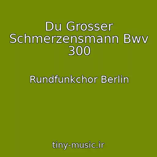 کاور آهنگ Du Grosser Schmerzensmann Bwv 300 از Rundfunkchor Berlin