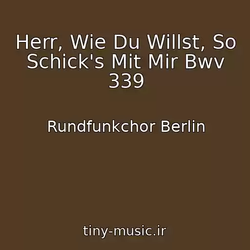کاور آهنگ Herr, Wie Du Willst, So Schick's Mit Mir Bwv 339 از Rundfunkchor Berlin